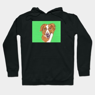 Older Brittany Spaniel Hoodie